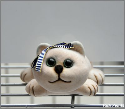 Original Cage Card Holder 1